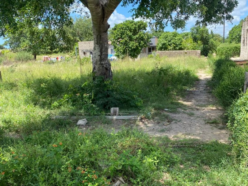 Trespasse de espaço 40x40 em Bobole (B. Pateque)