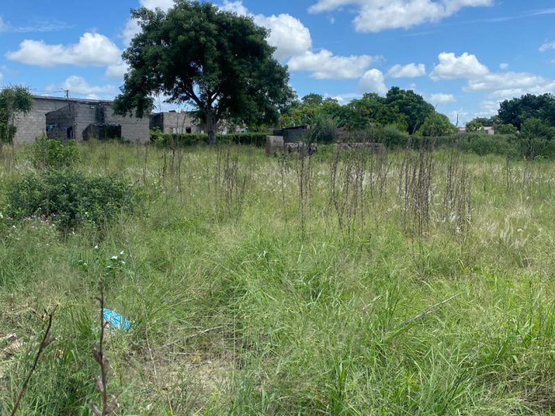 Trespasse de espaço 40x40 em Bobole (B. Pateque)