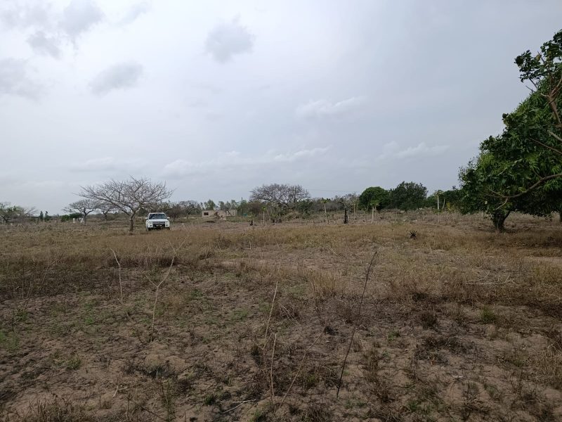 Transpasse de 2 terrenos na katembe