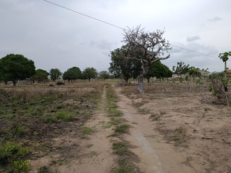 Transpasse de 2 terrenos na katembe
