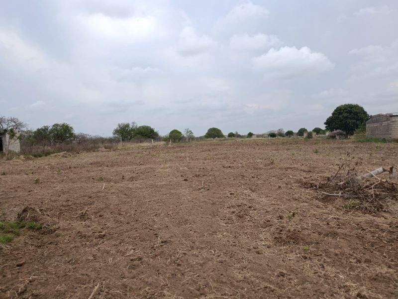 Transpasse de 2 terrenos na katembe