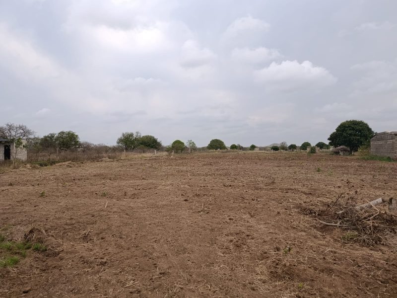 Transpasse de 2 terrenos na katembe