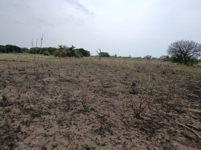 Transpasse de 2 terrenos na katembe